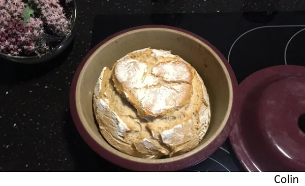 Brot